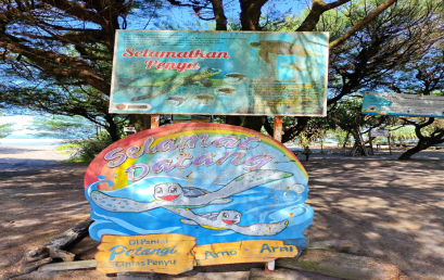 Pemanfaatan Internet Of Things (Iot) Untuk Konservasi Penyu Laut