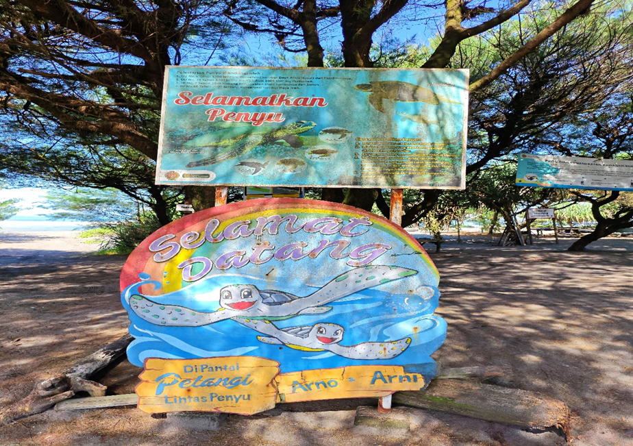 Pemanfaatan Internet Of Things (Iot) Untuk Konservasi Penyu Laut